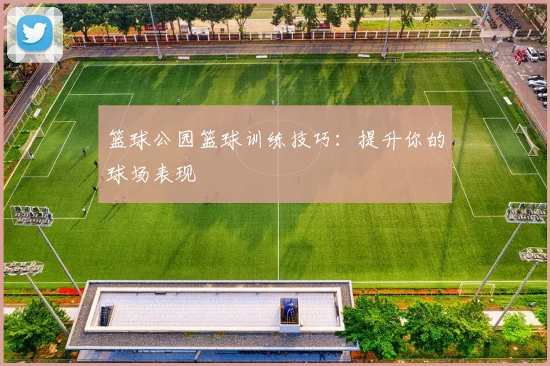 篮球公园篮球训练技巧：提升你的球场表现