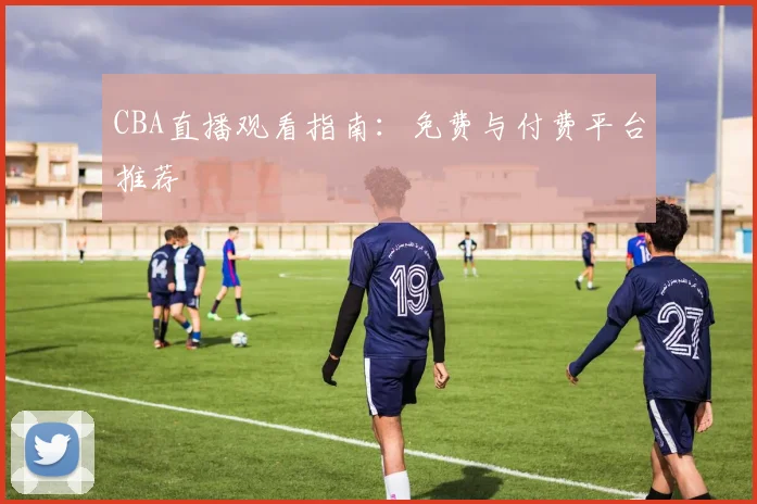 CBA直播观看指南:免费与付费平台推荐
